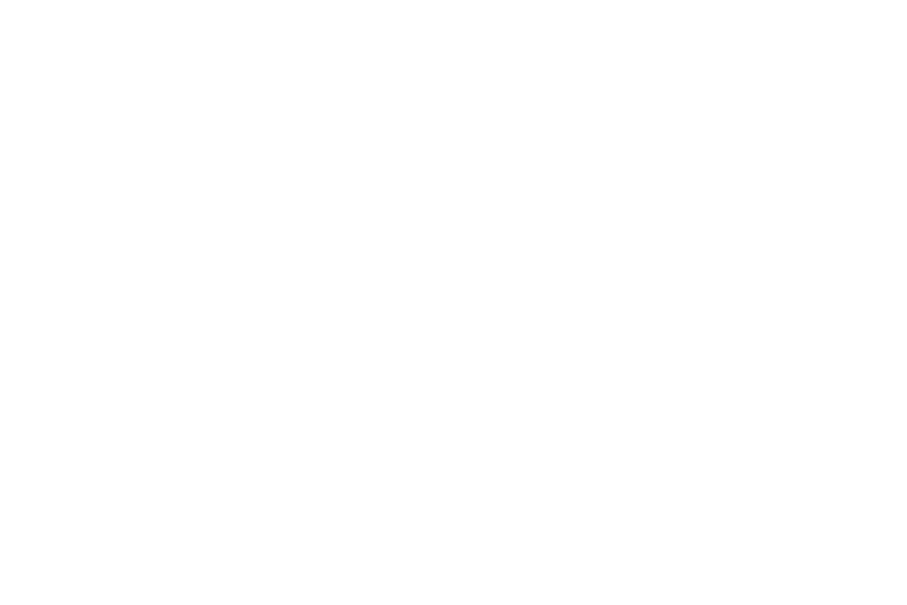Vertica